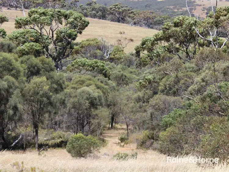 Third view of Homely land listing, Lot 139 Redgum Road, Coulta SA 5607