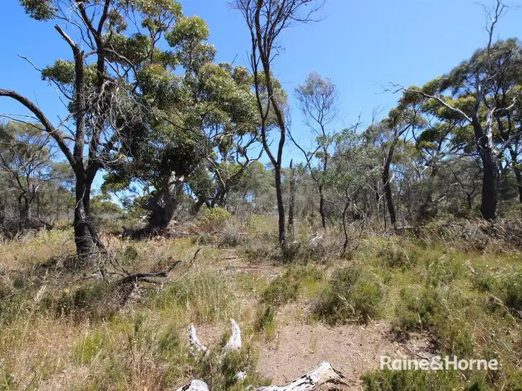 Fifth view of Homely land listing, Lot 139 Redgum Road, Coulta SA 5607
