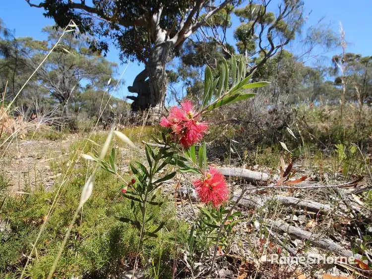 Sixth view of Homely land listing, Lot 139 Redgum Road, Coulta SA 5607