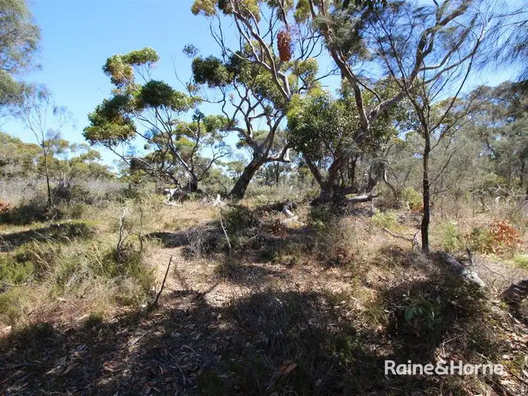 Seventh view of Homely land listing, Lot 139 Redgum Road, Coulta SA 5607