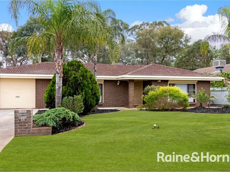 Main view of Homely house listing, 16 Empire Street, Salisbury Downs SA 5108
