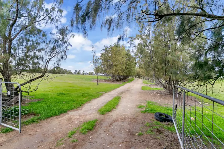 1474 Dukes Highway, Tailem Bend SA 5260