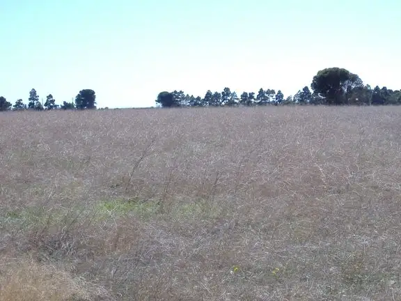 Main view of Homely land listing, Lot 53 Dalrymple Terrace, Stansbury SA 5582