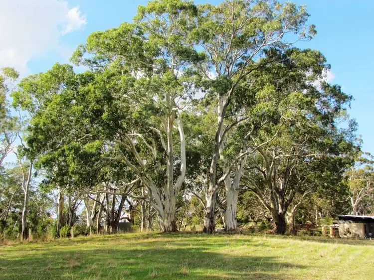 Lot 52 Henry Martin Road, Ashbourne SA 5157