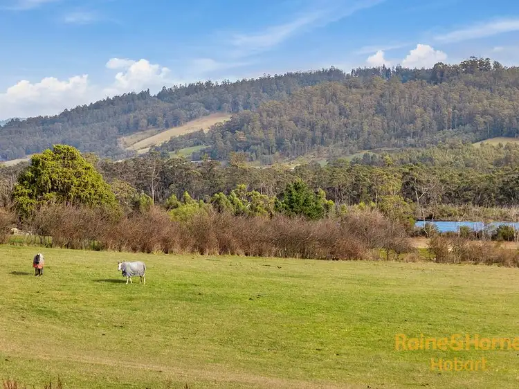 Main view of Homely land listing, 9001 Channel Highway, Huonville TAS 7109
