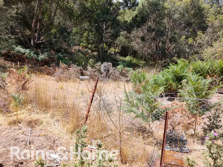 Fifth view of Homely land listing, 286 Roaring Beach Road, Nubeena TAS 7184