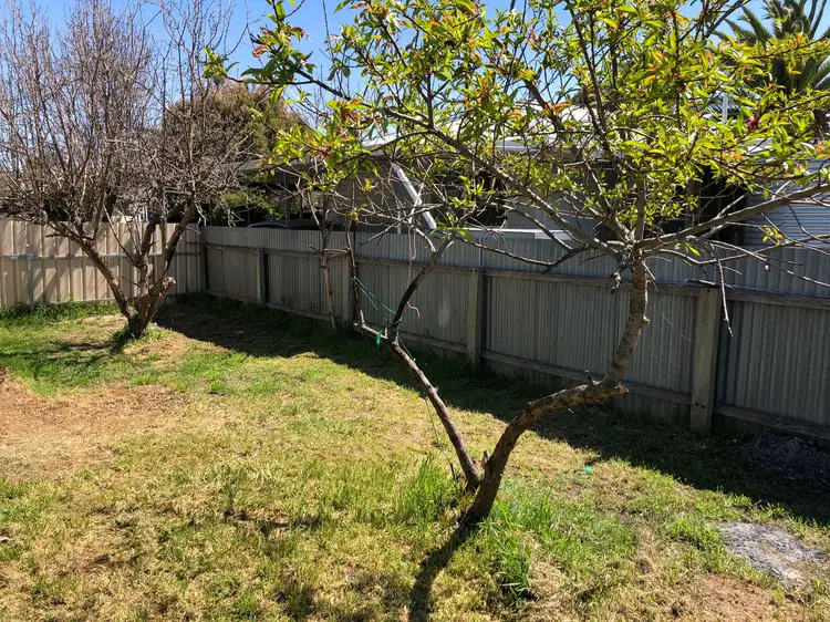 Seventh view of Homely house listing, 35 Peake Terrace, Coonalpyn SA 5265