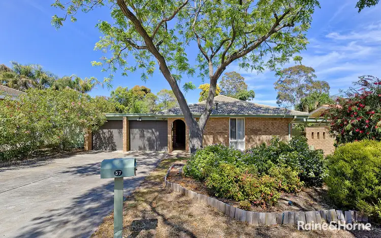 Second view of Homely house listing, 37 Glen Street, Salisbury East SA 5109