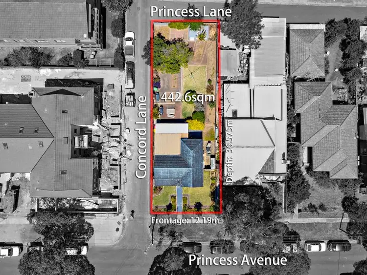 2 Princess Avenue, North Strathfield NSW 2137