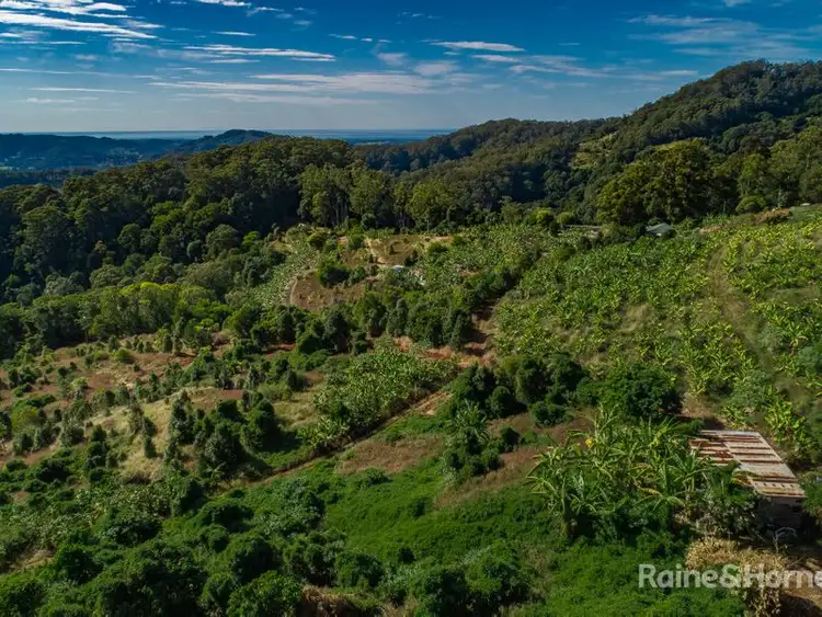 Main view of Homely land listing, 134 Snake Gully Road, Burringbar NSW 2483