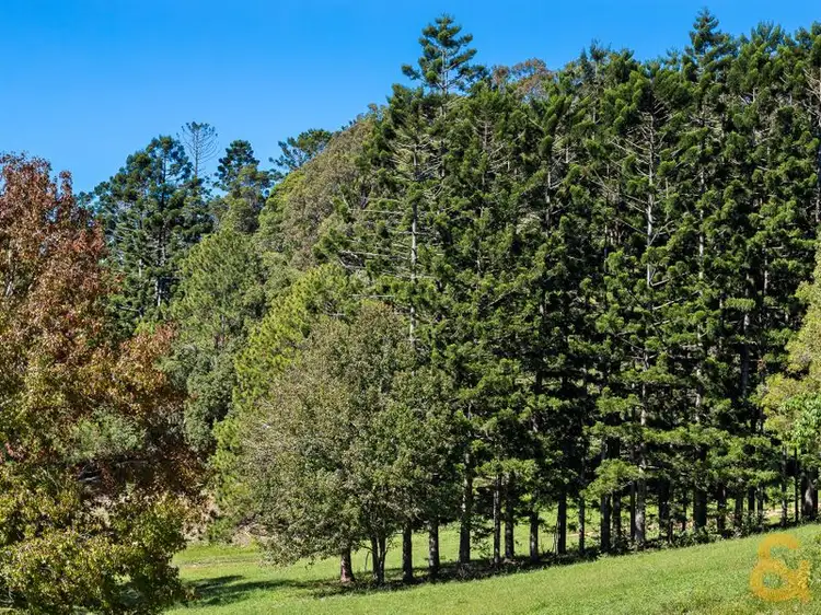 Fourth view of Homely land listing, Lot 104 Sleepy Hollow Road, Sleepy Hollow NSW 2483
