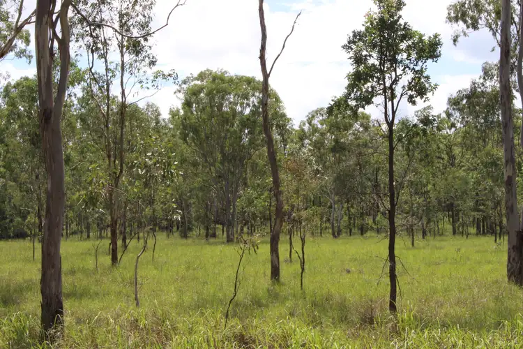Main view of Homely land listing, Lot 204 Burnett Street, Nanango QLD 4615