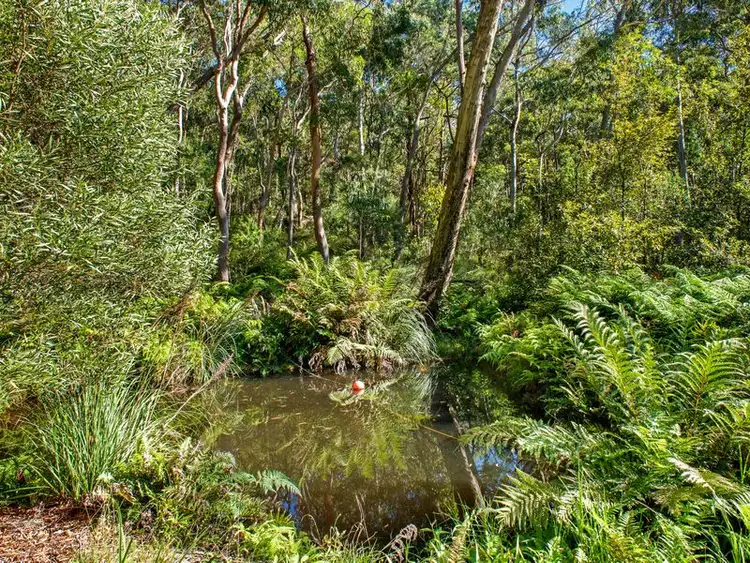 Fourth view of Homely house listing, 14 Frenchmens Road, Wentworth Falls NSW 2782