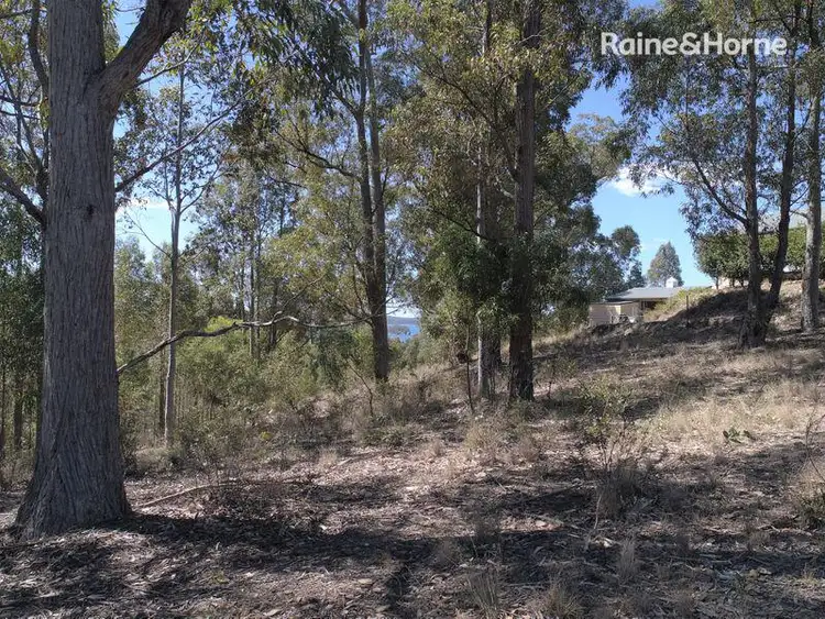 Main view of Homely land listing, 64 Yarrabee Drive, Catalina NSW 2536