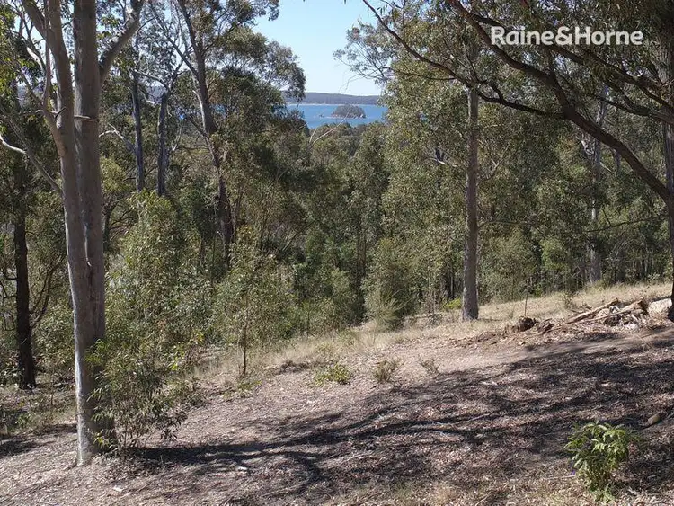 Fourth view of Homely land listing, 64 Yarrabee Drive, Catalina NSW 2536