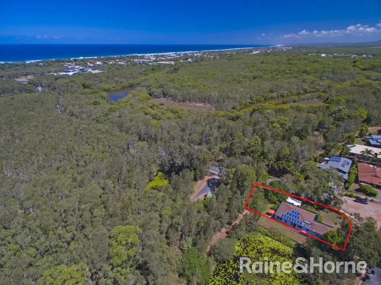 41 Muskheart Circuit, Pottsville NSW 2489
