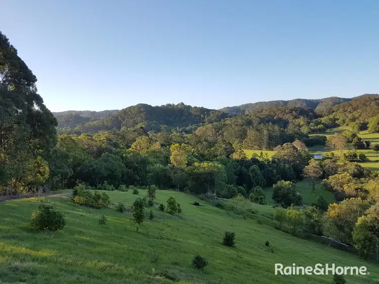 Third view of Homely rural property listing, 5 Samuel Marshall Close, Sleepy Hollow NSW 2483