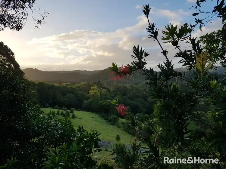 Fourth view of Homely rural property listing, 5 Samuel Marshall Close, Sleepy Hollow NSW 2483