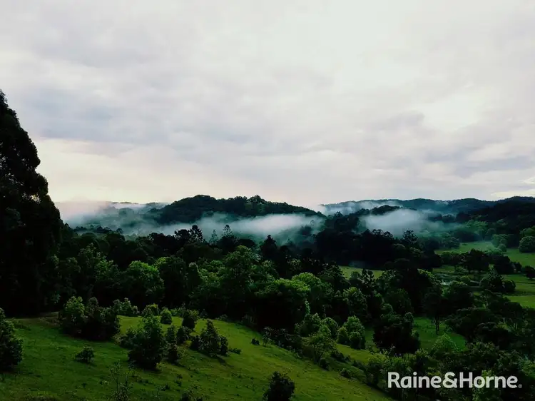 Fifth view of Homely rural property listing, 5 Samuel Marshall Close, Sleepy Hollow NSW 2483
