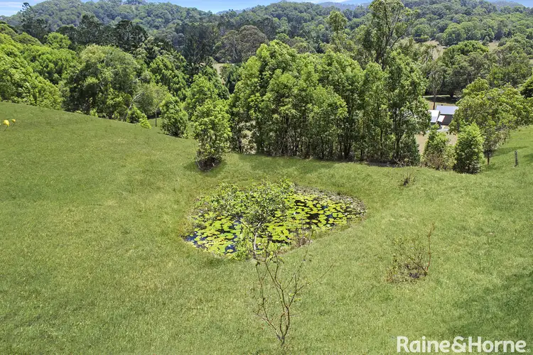 Seventh view of Homely rural property listing, 5 Samuel Marshall Close, Sleepy Hollow NSW 2483