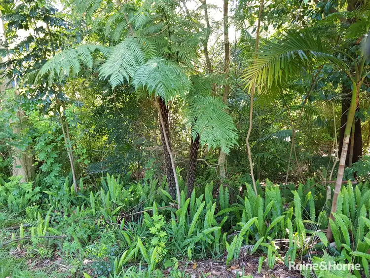 Fourth view of Homely land listing, 70 Sawtell Road, Toormina NSW 2452