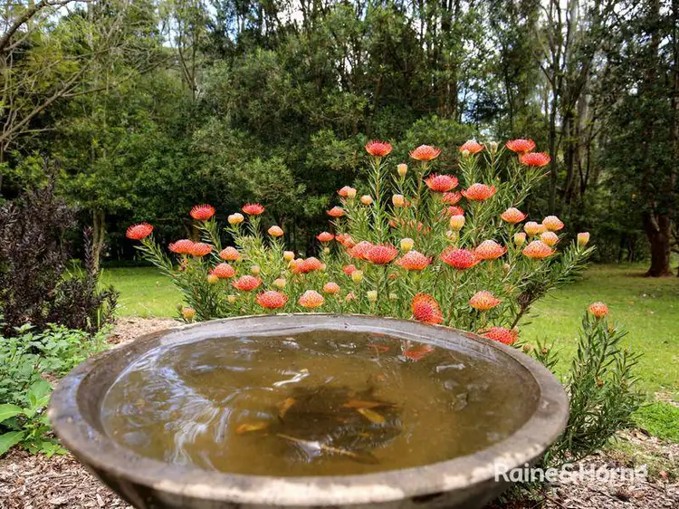 Fifth view of Homely house listing, 189 Tindalls Lane, Broughton Vale NSW 2535
