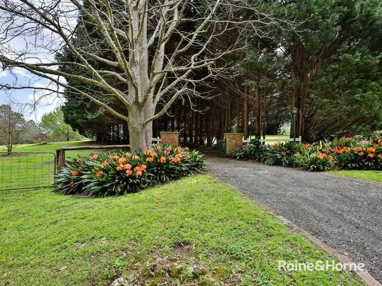 Sixth view of Homely house listing, 189 Tindalls Lane, Broughton Vale NSW 2535