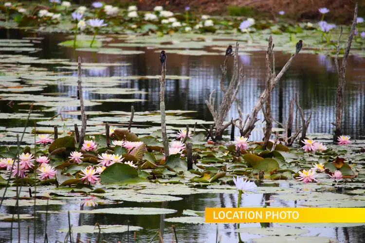 Second view of Homely land listing, 5 Michigan Way, Burrill Lake NSW 2539