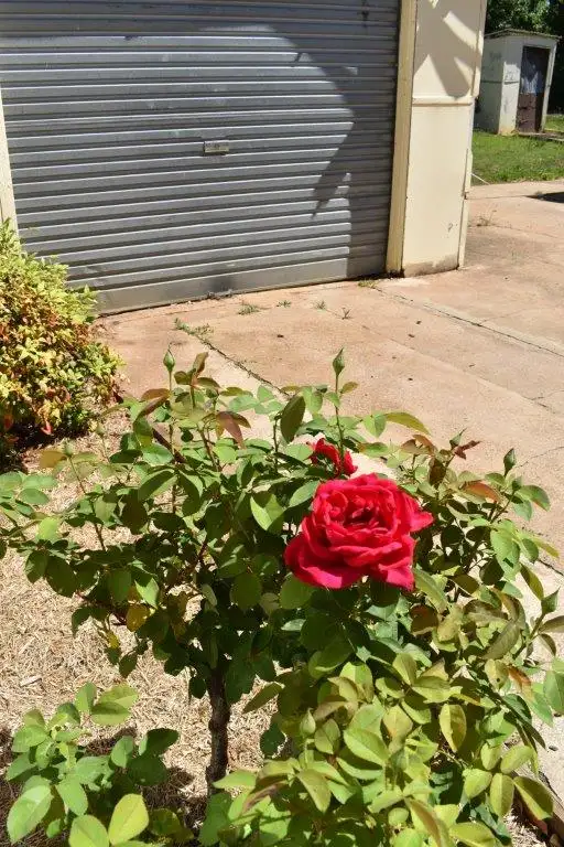 Sixth view of Homely house listing, 7 Montefiores Street, Wellington NSW 2820