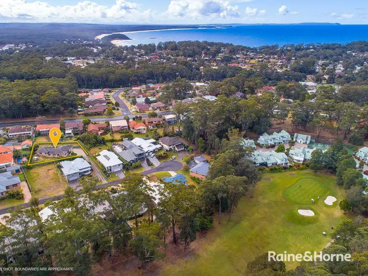 Second view of Homely house listing, 12 Yarrawonga Drive, Mollymook Beach NSW 2539