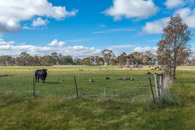 Sixth view of Homely house listing, 150 Buntings Lane, Glenhope VIC 3444