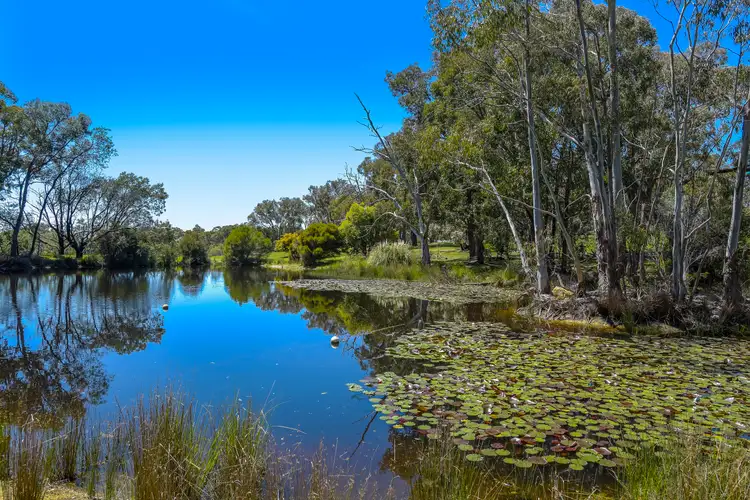 Fourth view of Homely house listing, 201 Shepherds Hill Road, Lauriston VIC 3444