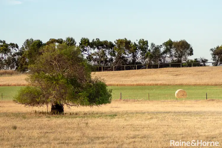 Third view of Homely land listing, LOT 8 Martlew Court, Strathalbyn SA 5255