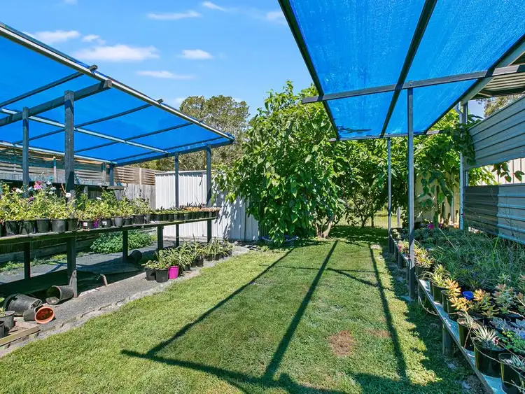 99 Golden Hind Avenue, Cooloola Cove QLD 4580