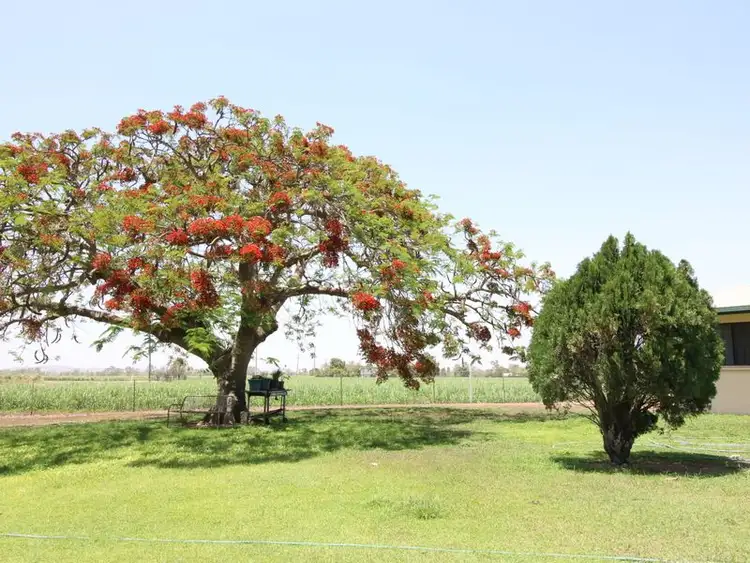 Third view of Homely house listing, 576 IONA ROAD, Fredericksfield QLD 4806