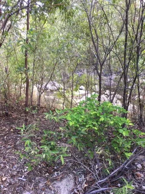 Seventh view of Homely land listing, Lot 124 Shark Bay Esplanade, Guthalungra QLD 4805