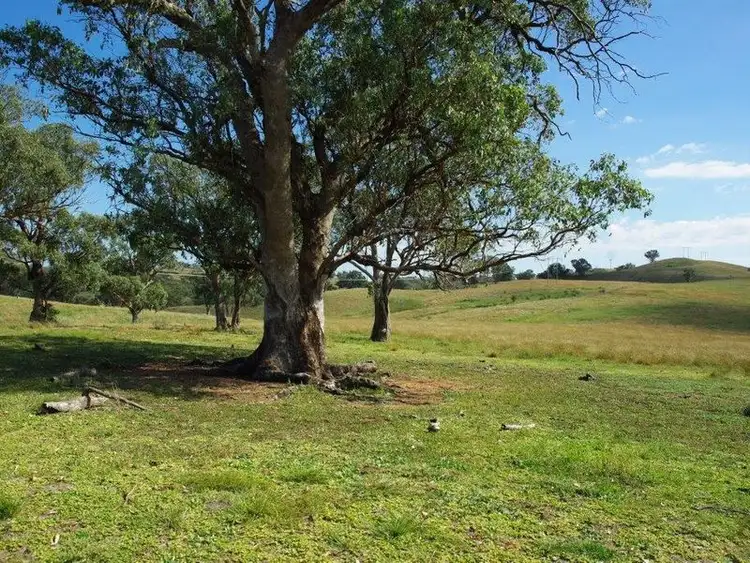Third view of Homely land listing, 138 Tarrawingee Road Mumbil Via, Wellington NSW 2820