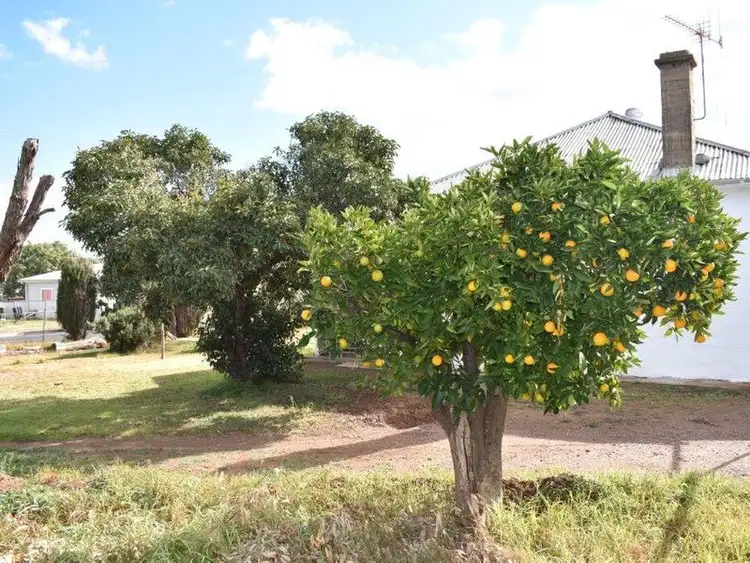 Third view of Homely house listing, 40 Parkes Street, Wellington NSW 2820