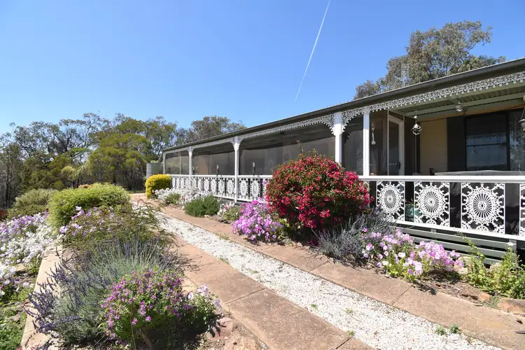 Main view of Homely rural property listing, 242 Fashions Mount Road Mumbil via, Wellington NSW 2820