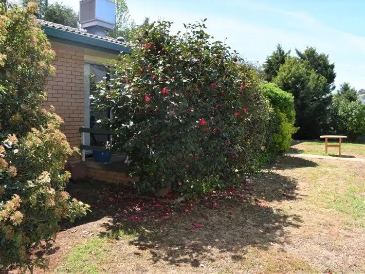 Fourth view of Homely house listing, 89 Montefiores Street, Wellington NSW 2820