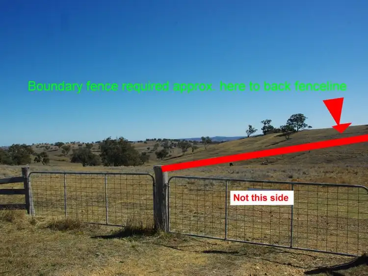 Fourth view of Homely land listing, 178 Tarrawingee Road Mumbil Via, Wellington NSW 2820