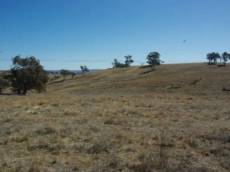 Fifth view of Homely land listing, 178 Tarrawingee Road Mumbil Via, Wellington NSW 2820