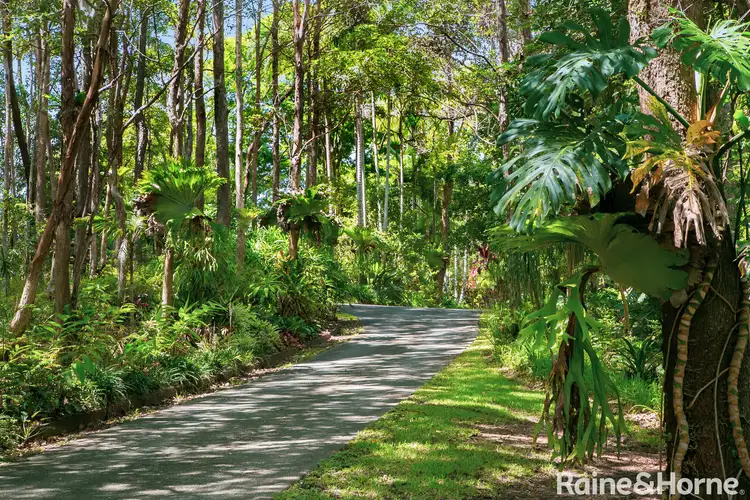 Sixth view of Homely house listing, 54 Tewantin Road, Cooroy QLD 4563