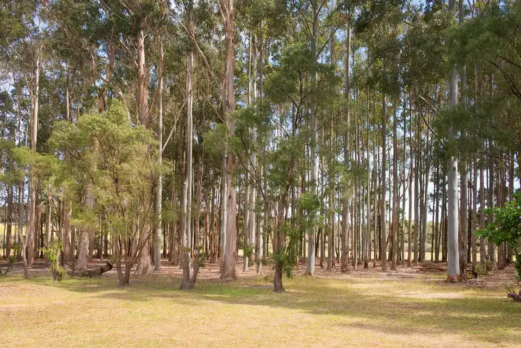 Fourth view of Homely house listing, 101/115 Rowe Rd, Witchcliffe WA 6286