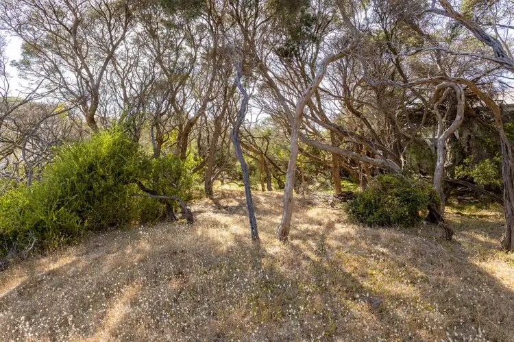 Third view of Homely land listing, 89 Pasadena Street, Rye VIC 3941