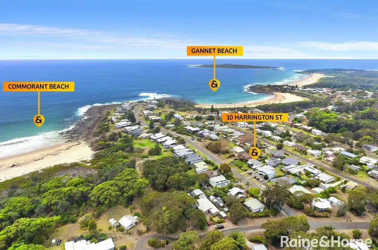 10 Harrington Crescent, Bawley Point NSW 2539