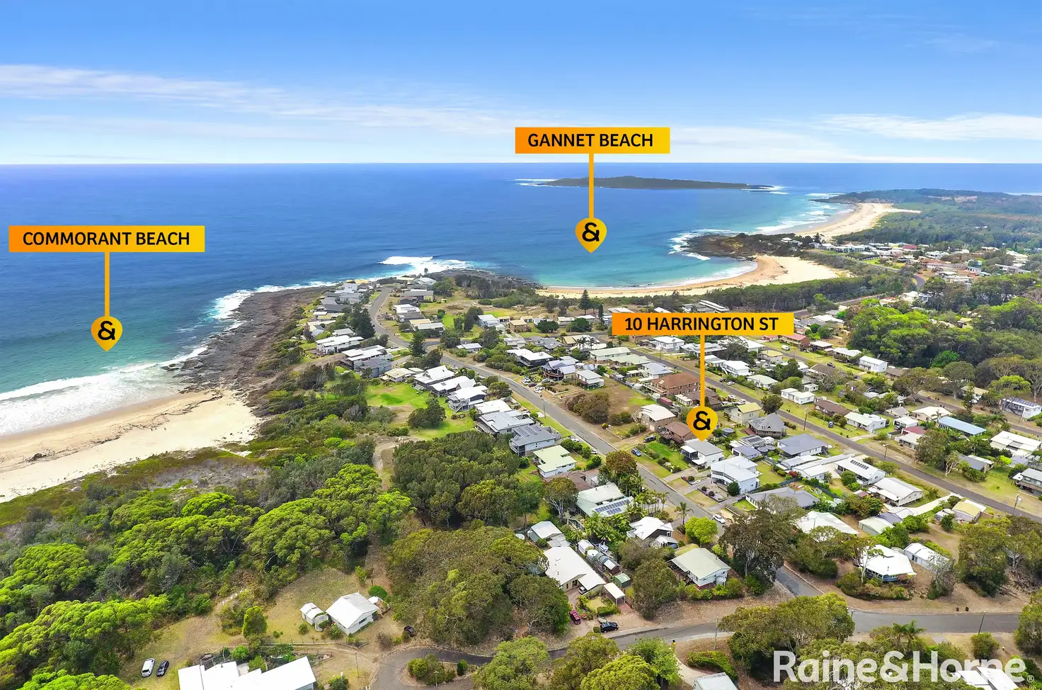 Main view of Homely house listing, 10 Harrington Crescent, Bawley Point NSW 2539