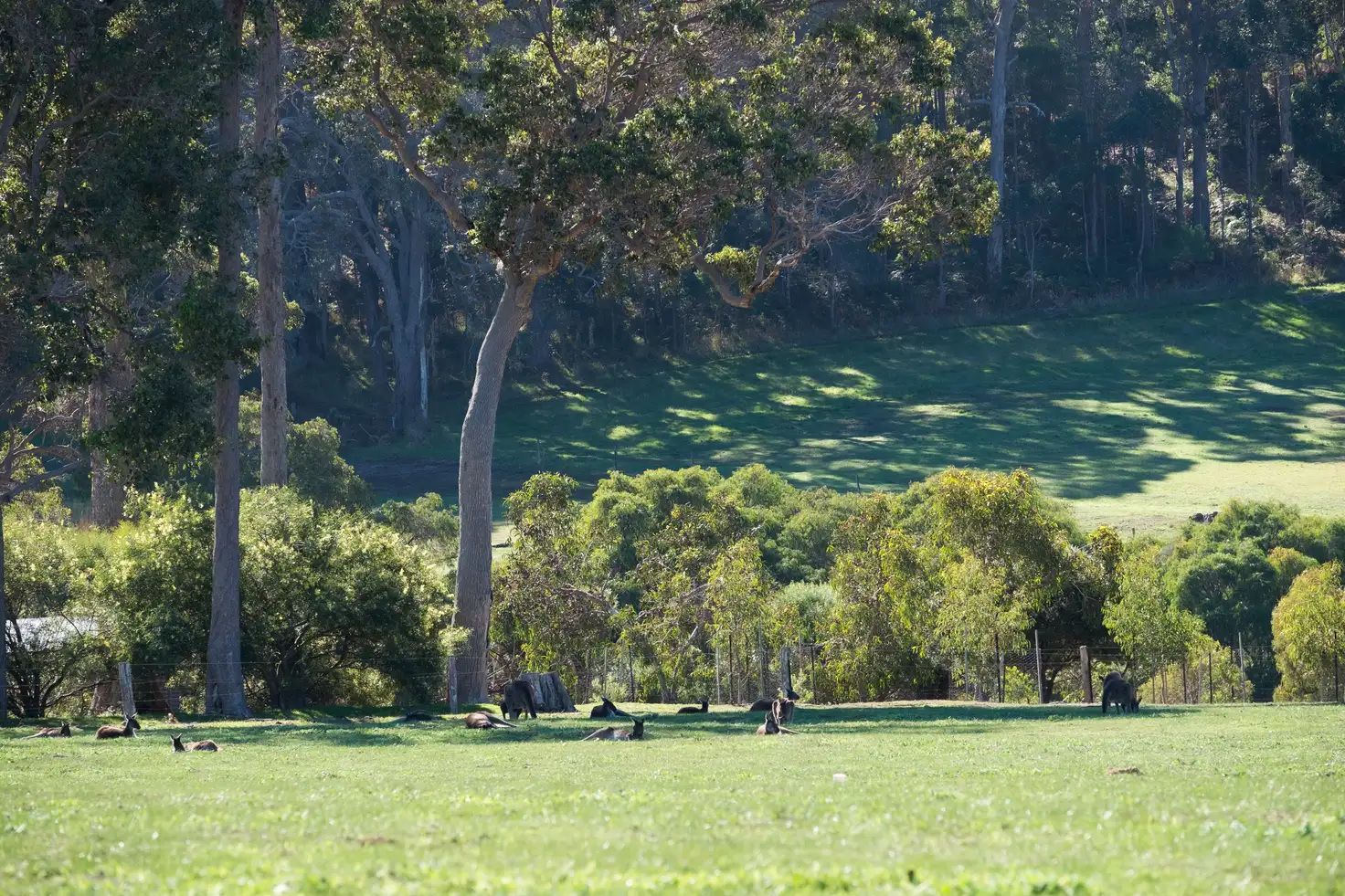 Main view of Homely land listing, PL 2 Lot 37 Devon Drive, Margaret River WA 6285