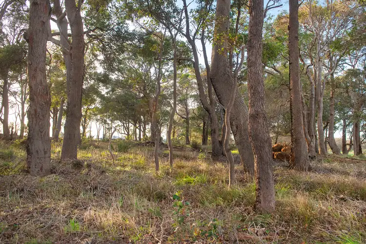 Sixth view of Homely land listing, 53 Brookside Boulevard, Cowaramup, Margaret River WA 6285