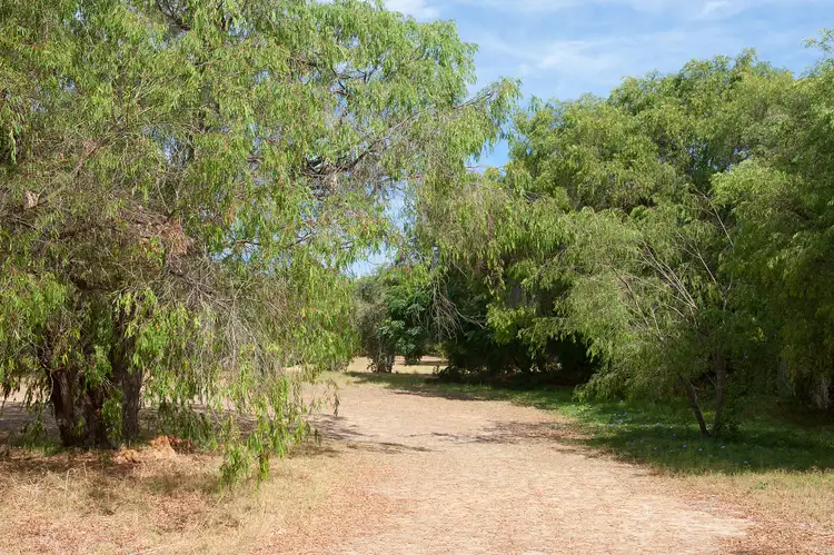 Fifth view of Homely land listing, LOT PL2, 182 Geographe Bay Road, Quindalup WA 6281